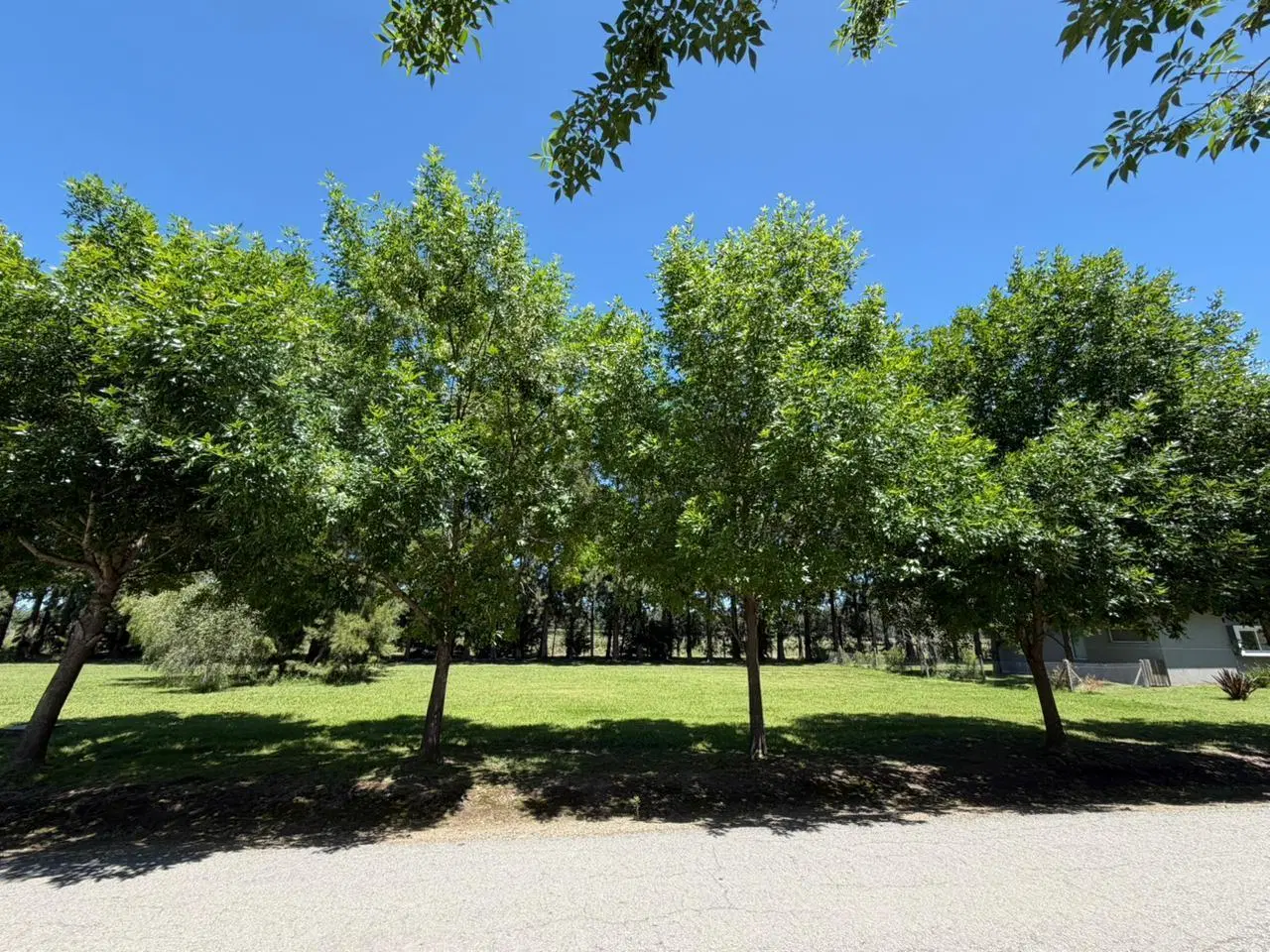 Terreno en  Venta en MIRALAGOS 2