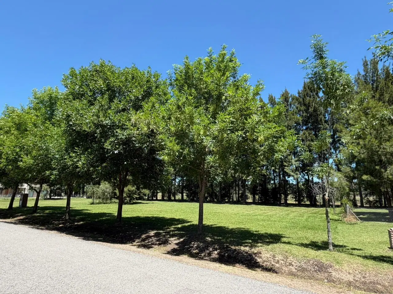 Terreno en  Venta en MIRALAGOS 4
