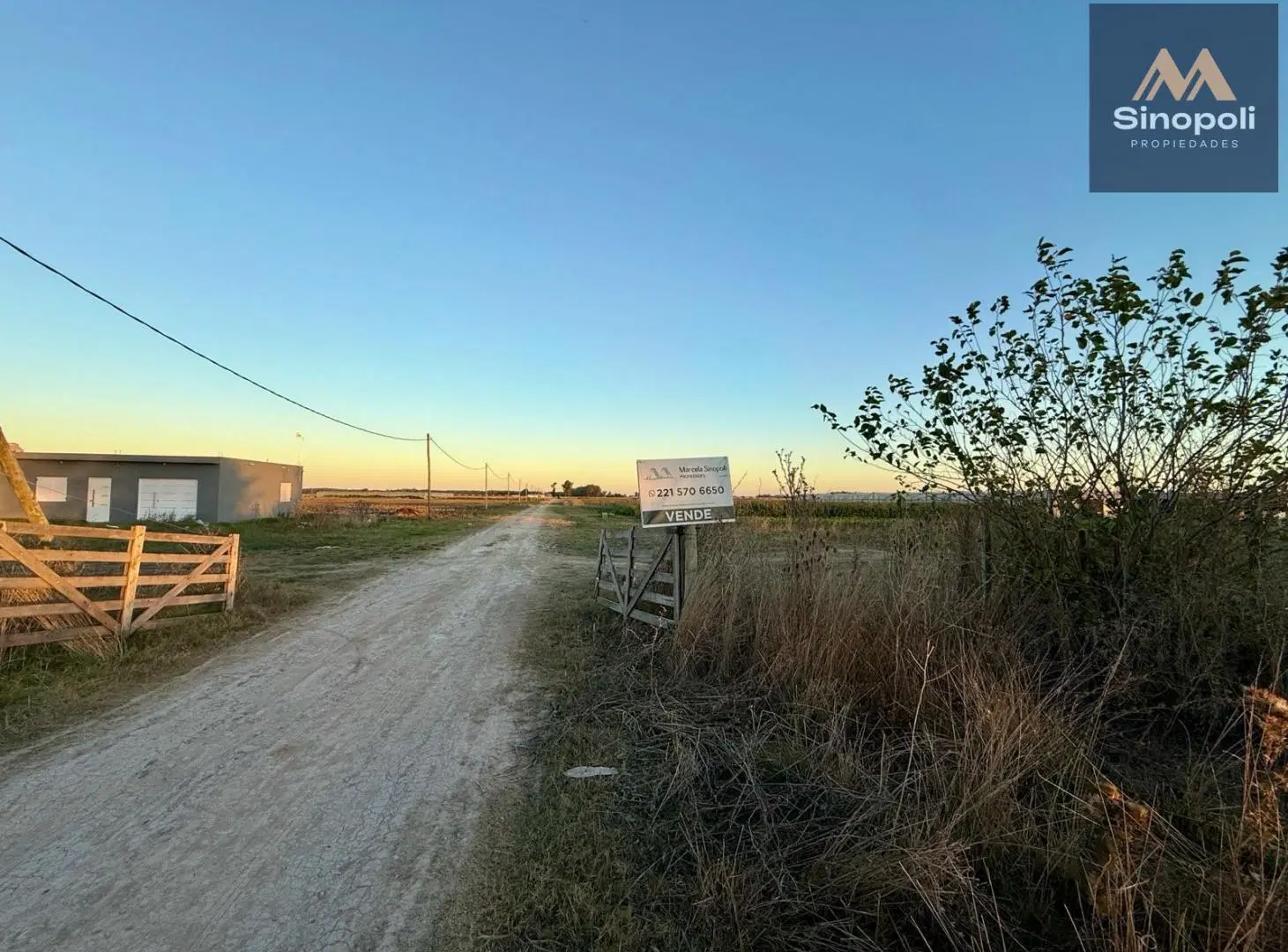 VENTA DE HECTAREAS (4 Y 5) - 207 Y 90 - L. OLMOS 5
