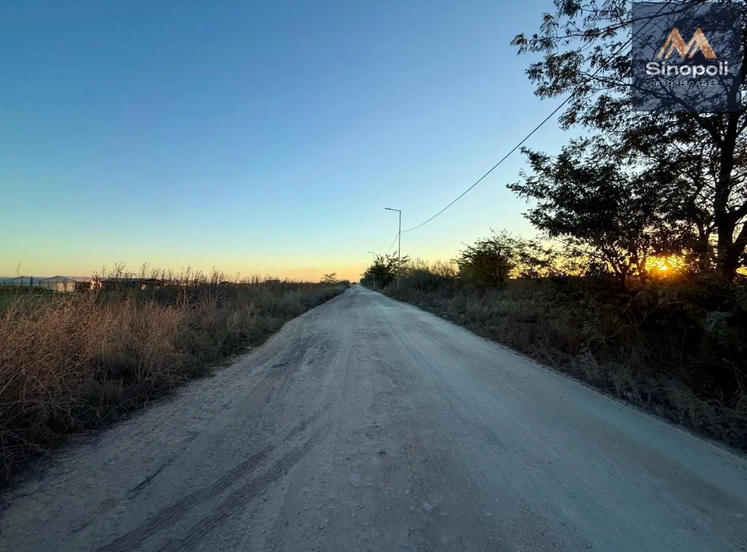 VENTA DE HECTAREAS (4 Y 5) - 207 Y 90 - L. OLMOS 2