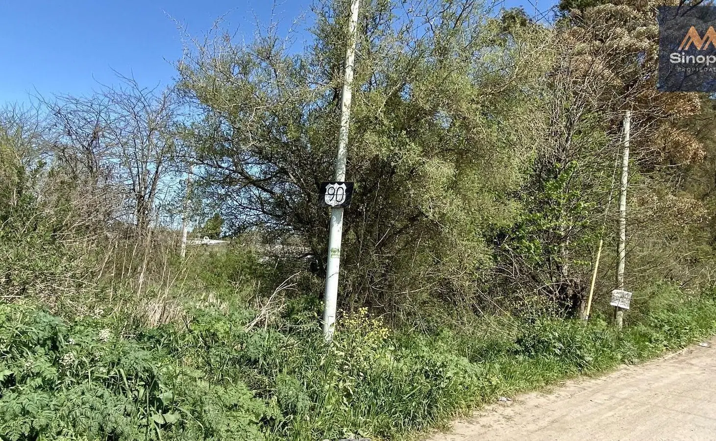 VENTA DE HECTAREAS (4 Y 5) - 207 Y 90 - L. OLMOS 4