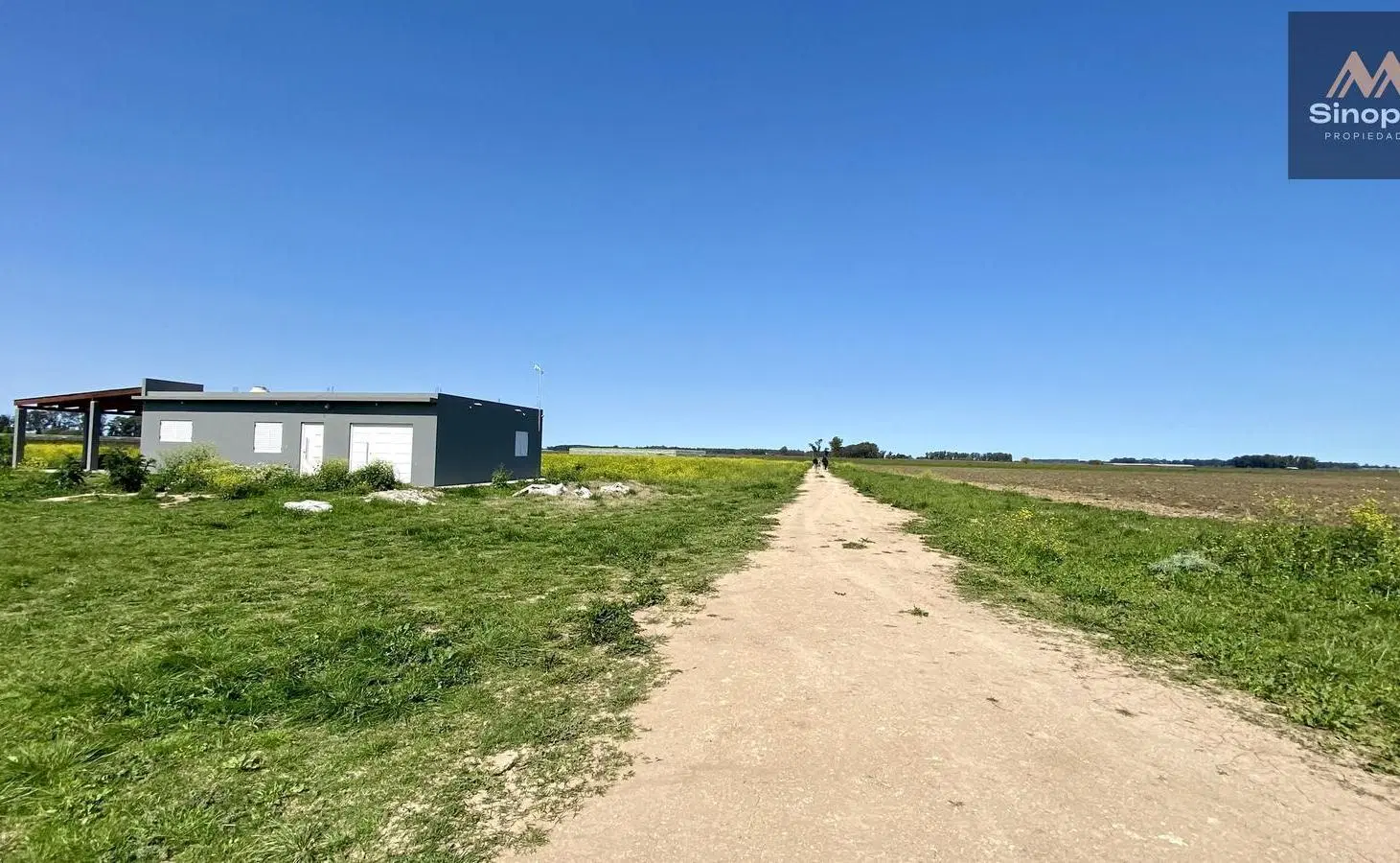VENTA DE HECTAREAS (4 Y 5) - 207 Y 90 - L. OLMOS 8