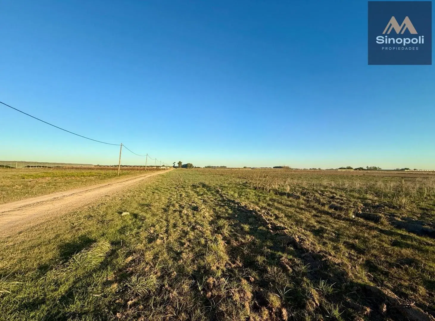 VENTA DE HECTAREAS (4 Y 5) - 207 Y 90 - L. OLMOS 1