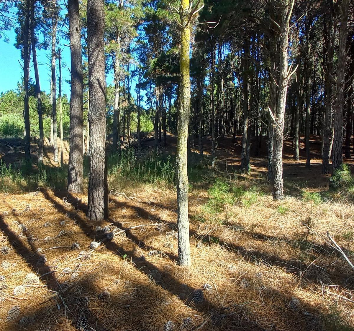 Venta Lote en Villa Robles Oportunidad 1