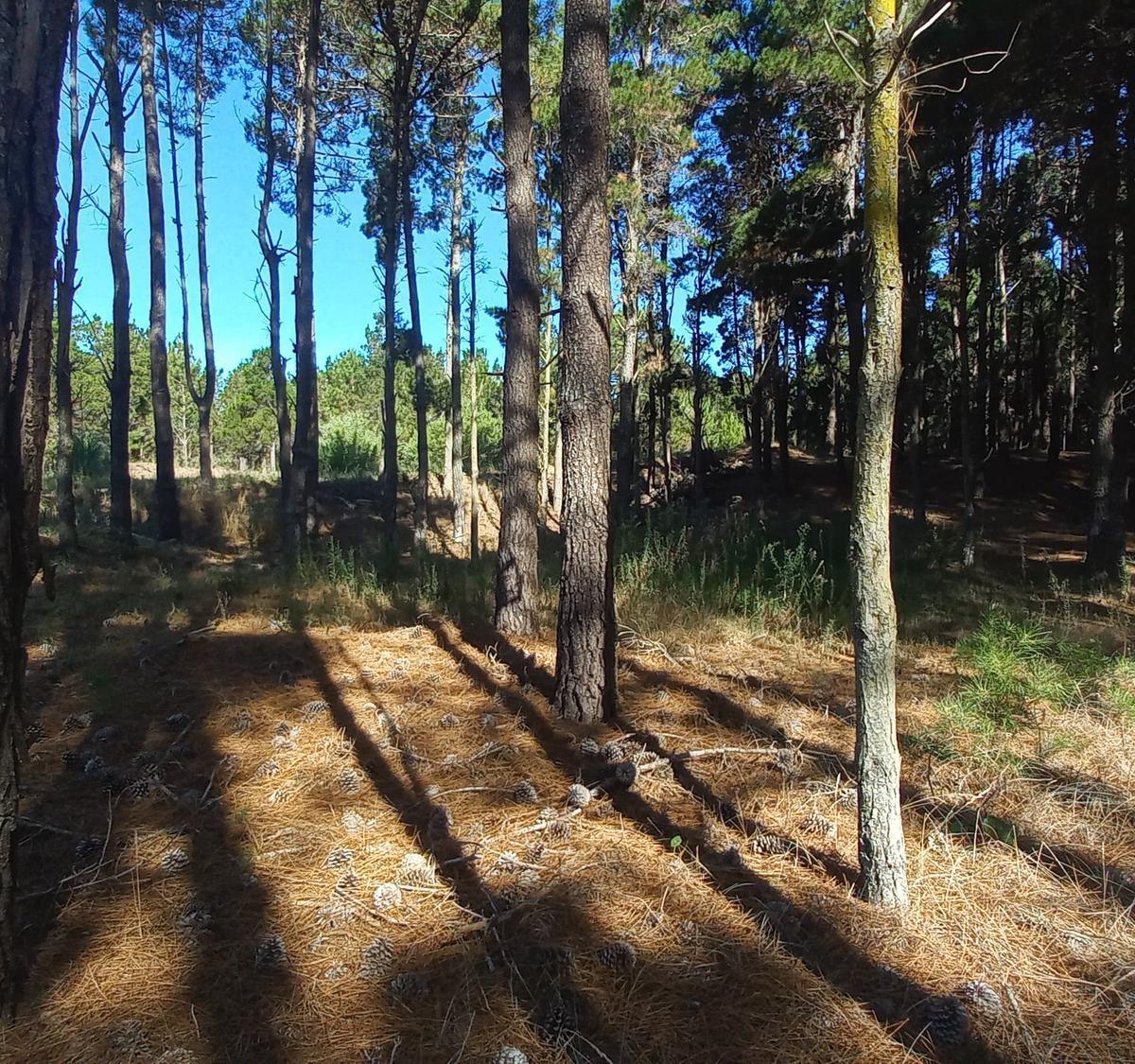 Venta Lote en Villa Robles Oportunidad 2