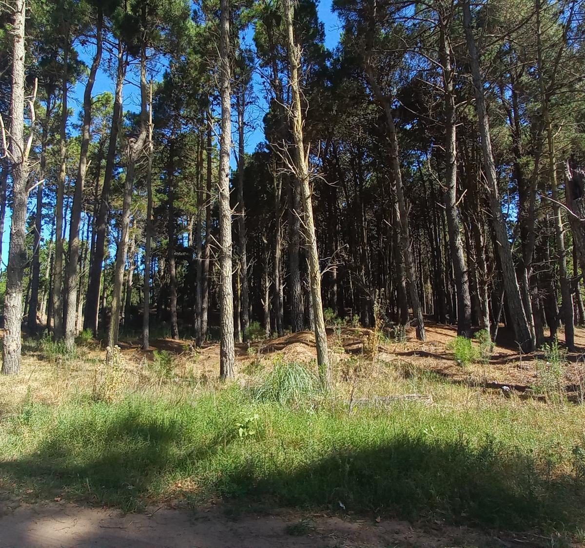 Venta Lote en Villa Robles Oportunidad 5