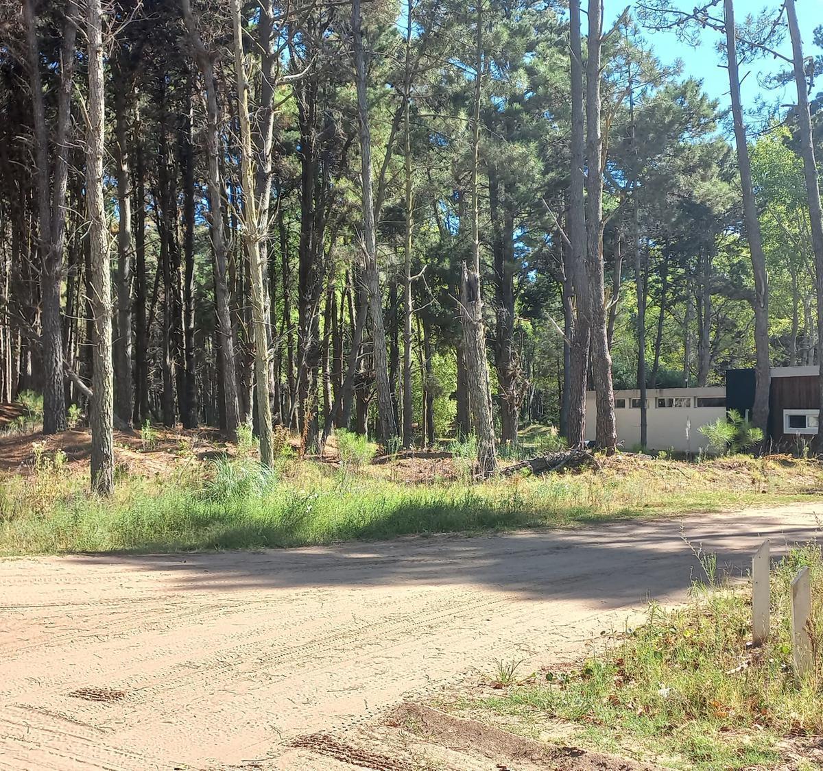 Venta Lote en Villa Robles Oportunidad 3