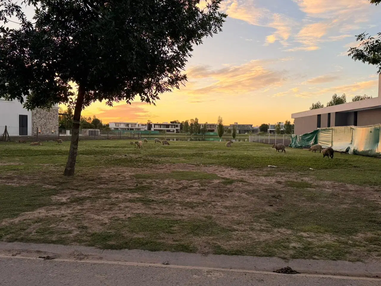 Lote en Venta en Terravista | Fondo a la Laguna 3