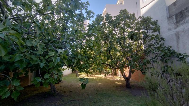 Oportunidad Terreno Barrio San Carlos 5