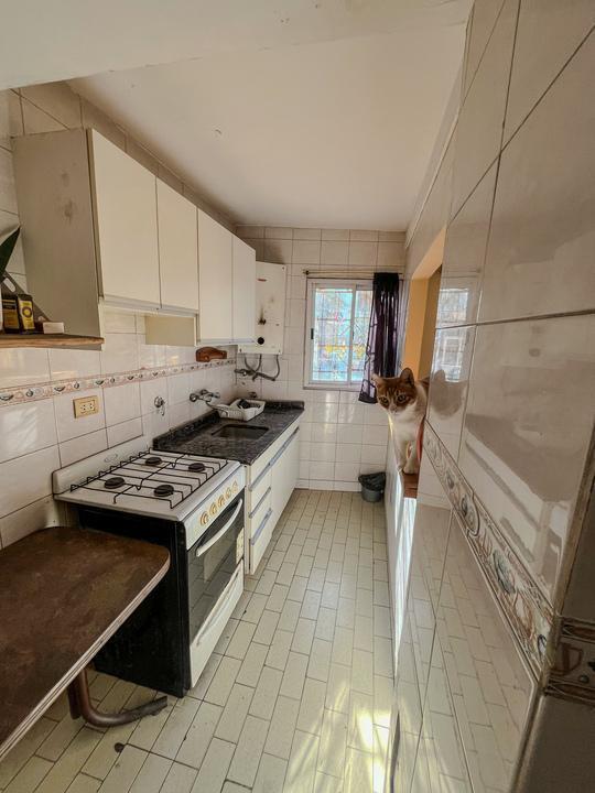 Foto de Venta Departamento de 3 ambientes con patio en planta baja en Parque Patricios, imagen 1