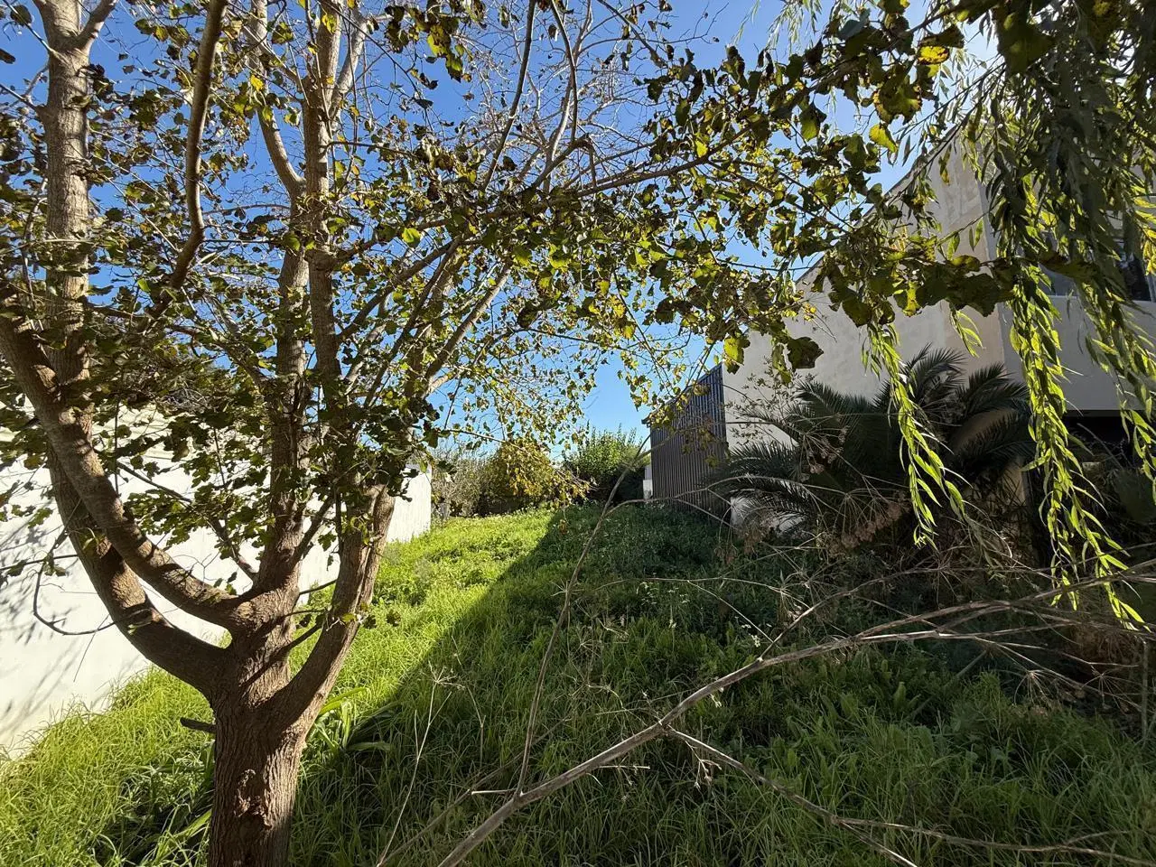Terreno en venta calle 494 entre 7 y 8 2