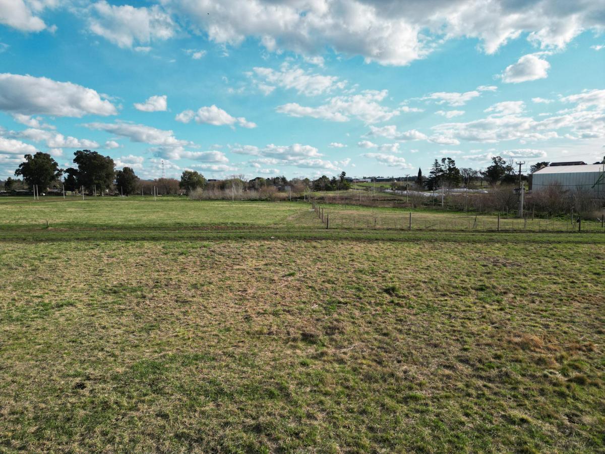 Ultimo Lote en Venta en Tandil - Zona de Quintas. 5