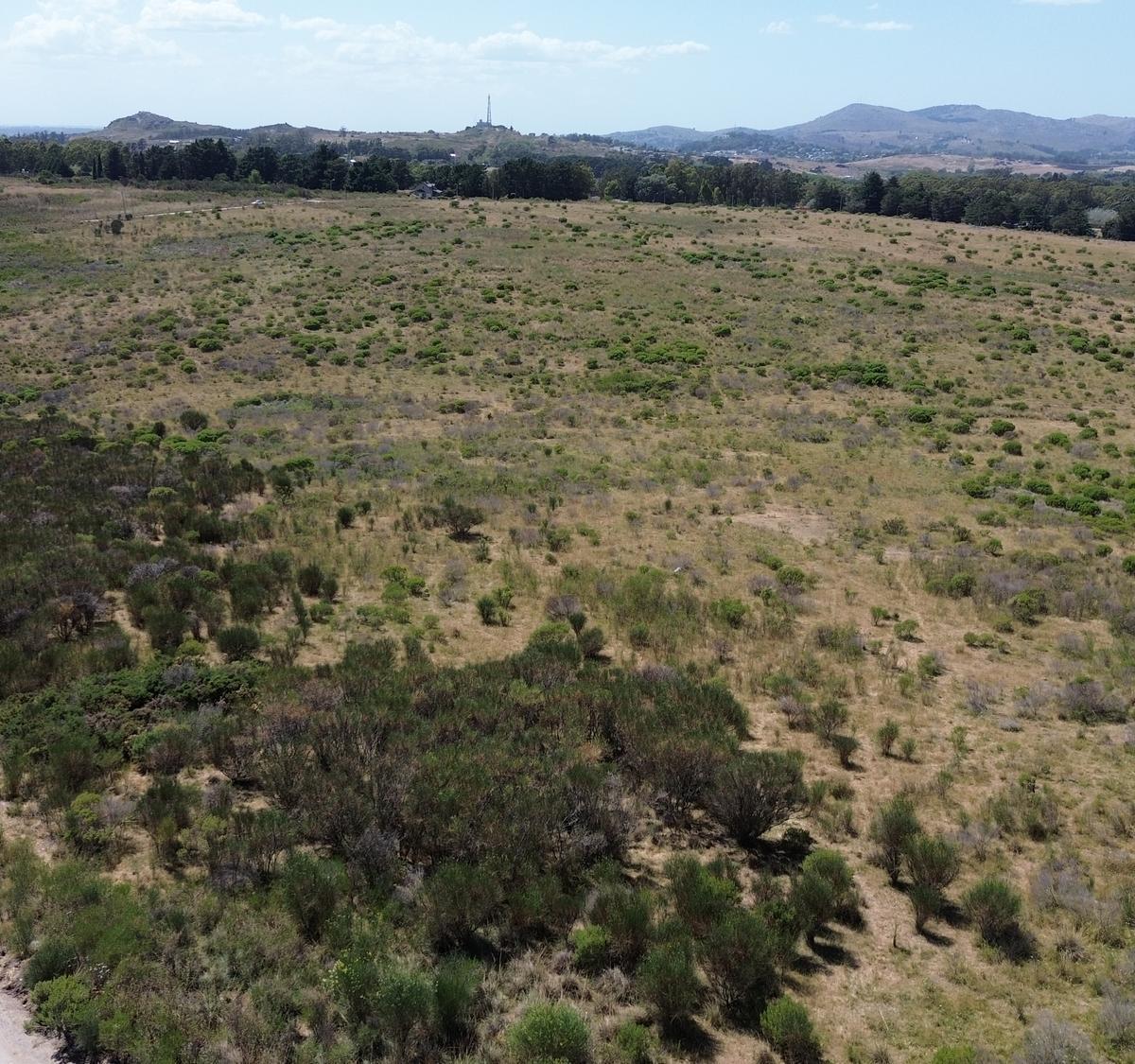Se Vende Lote en Zona La Elena - Tandil 4