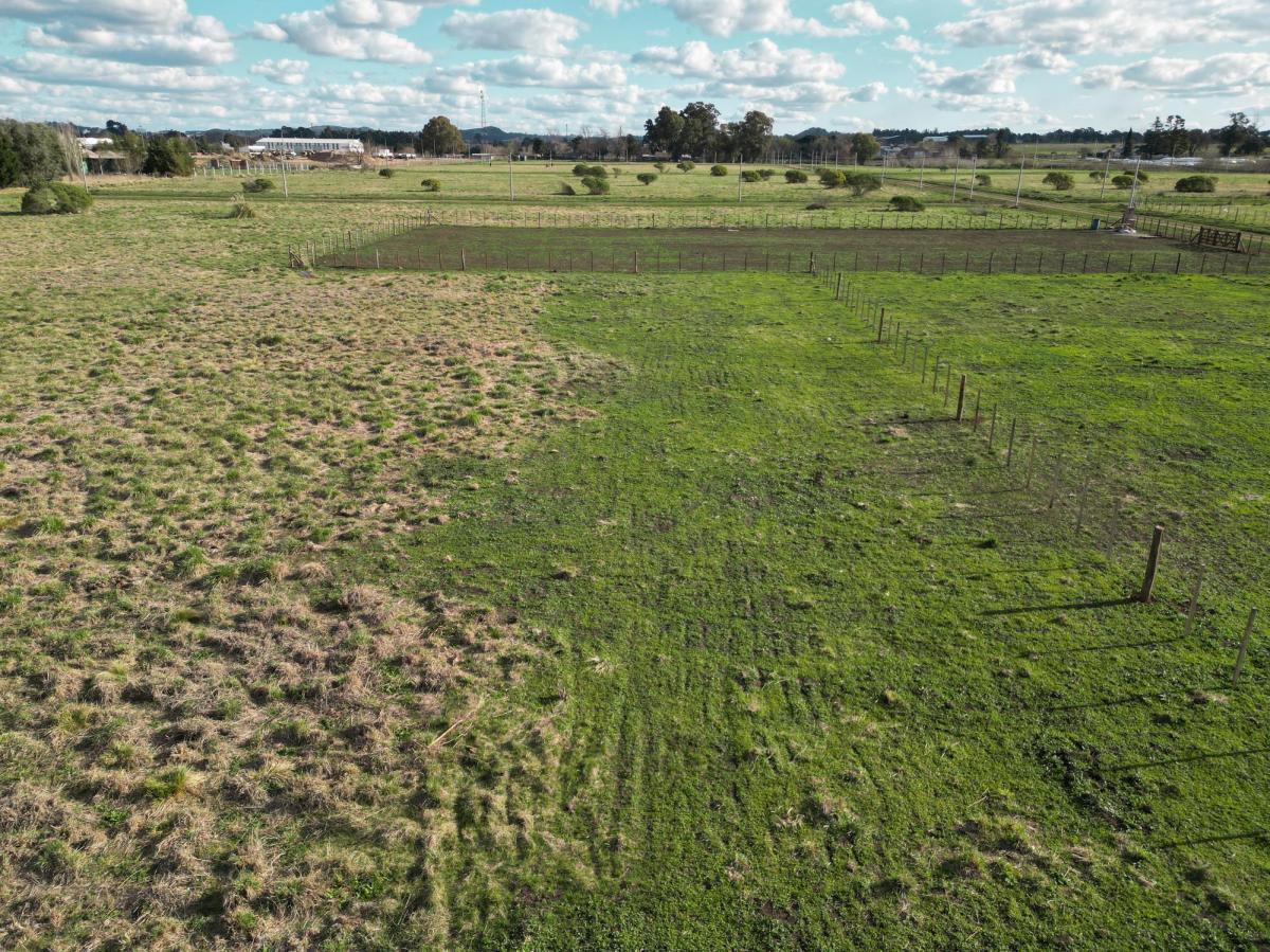 Ultimo Lote en Venta en Tandil - Zona de Quintas. 3