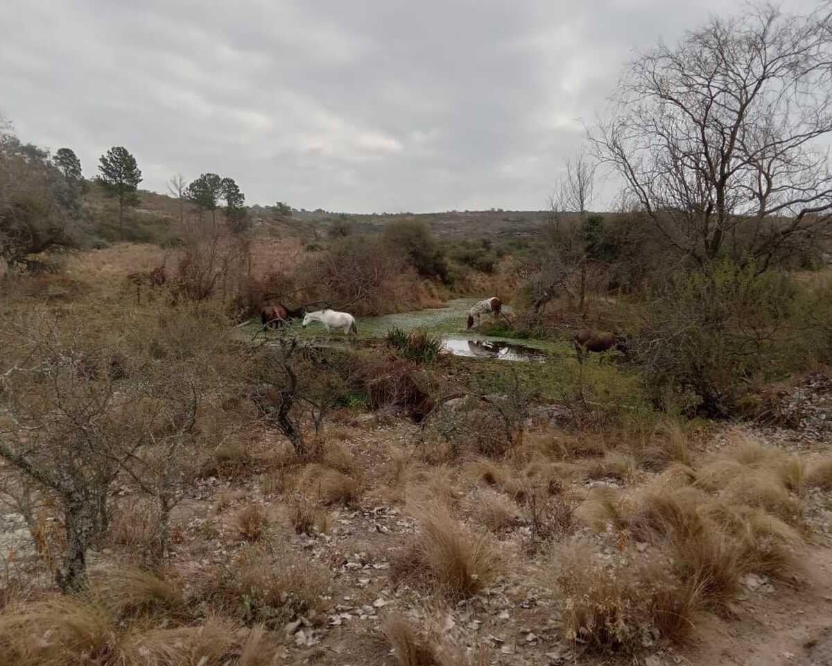 Terreno en Venta en Cabalango, 33 Ha Apto Credito, con Arroyo. 2