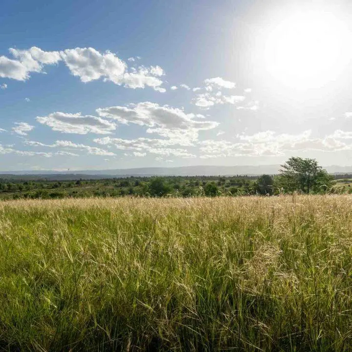 Terreno en VENTA 2000 m2 en club de campo Altos del Corral prox. gas natural 2