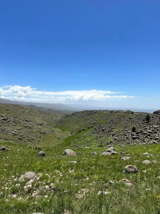 CAMPO DE 169 HECTÁREAS EN EL DURAZNO – VALLE DE CALAMUCHITA 2