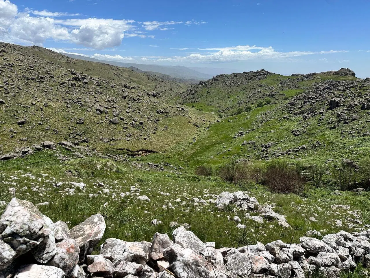 CAMPO DE 169 HECTÁREAS EN EL DURAZNO – VALLE DE CALAMUCHITA 3