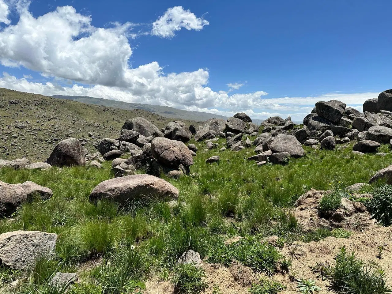 CAMPO DE 169 HECTÁREAS EN EL DURAZNO – VALLE DE CALAMUCHITA 4