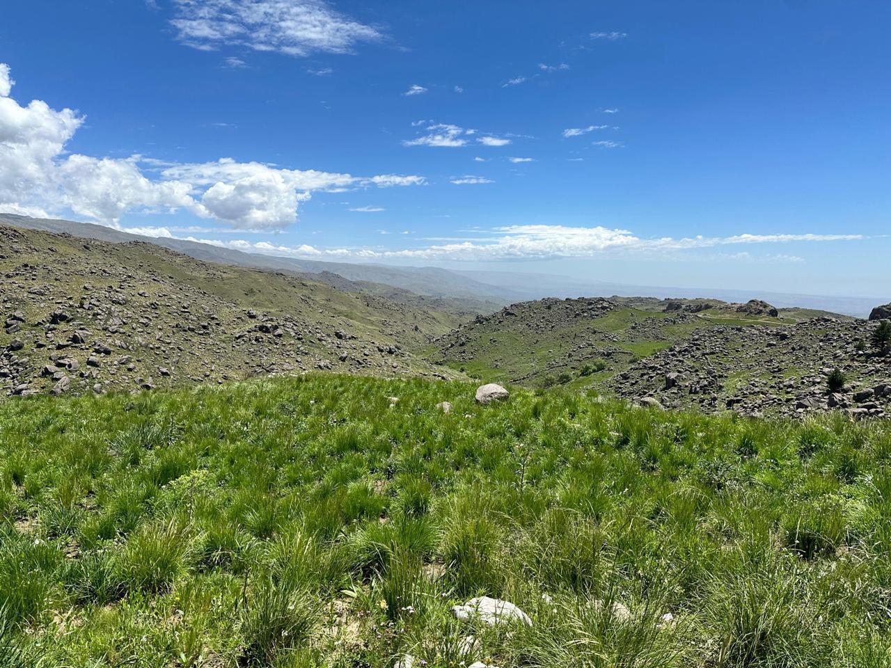 CAMPO DE 169 HECTÁREAS EN EL DURAZNO – VALLE DE CALAMUCHITA