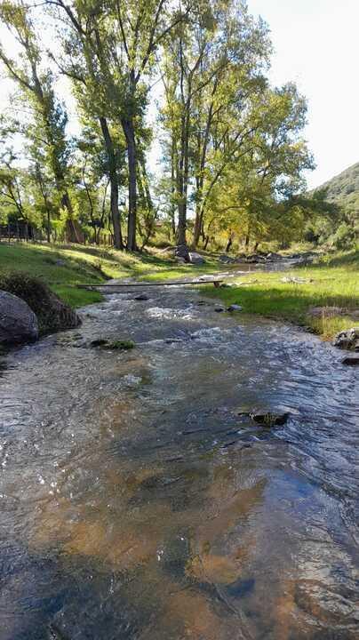 Foto de VENTA DE CAMPO CON RIO EN CAÑADA DEL RIO PINTO, imagen 3