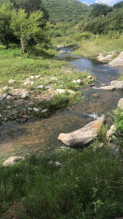 Foto de VENTA DE CAMPO CON RIO EN CAÑADA DEL RIO PINTO, imagen 1