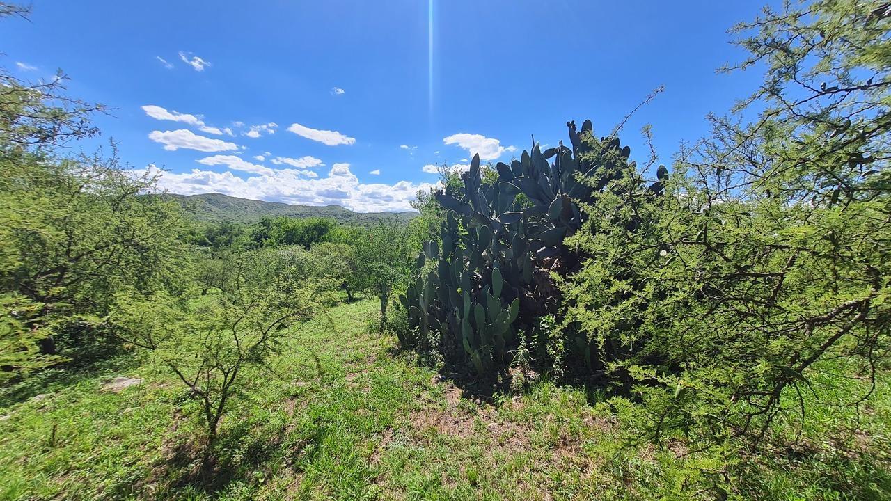 Foto de 8 lotes y una casa en Villa los aromos, imagen 4