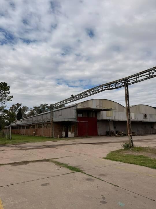Foto de Venta Galpon de 6.000 m², imagen 3