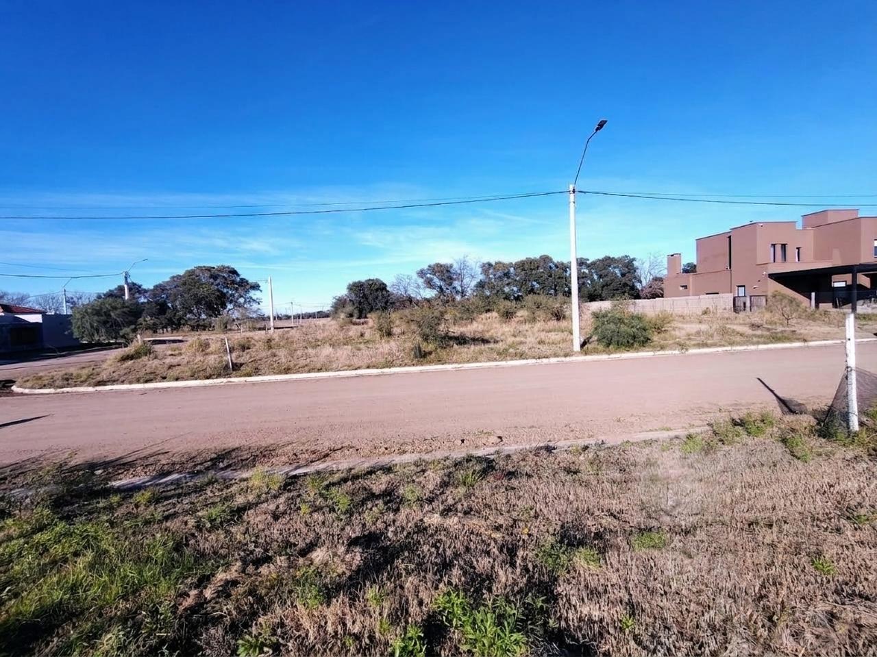 Foto de TERRENO SINSACATE, imagen 4