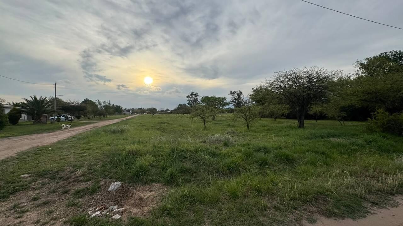 Foto de Terreno de 1000 m2 con jardín en Capilla de Los Remedios, imagen 1
