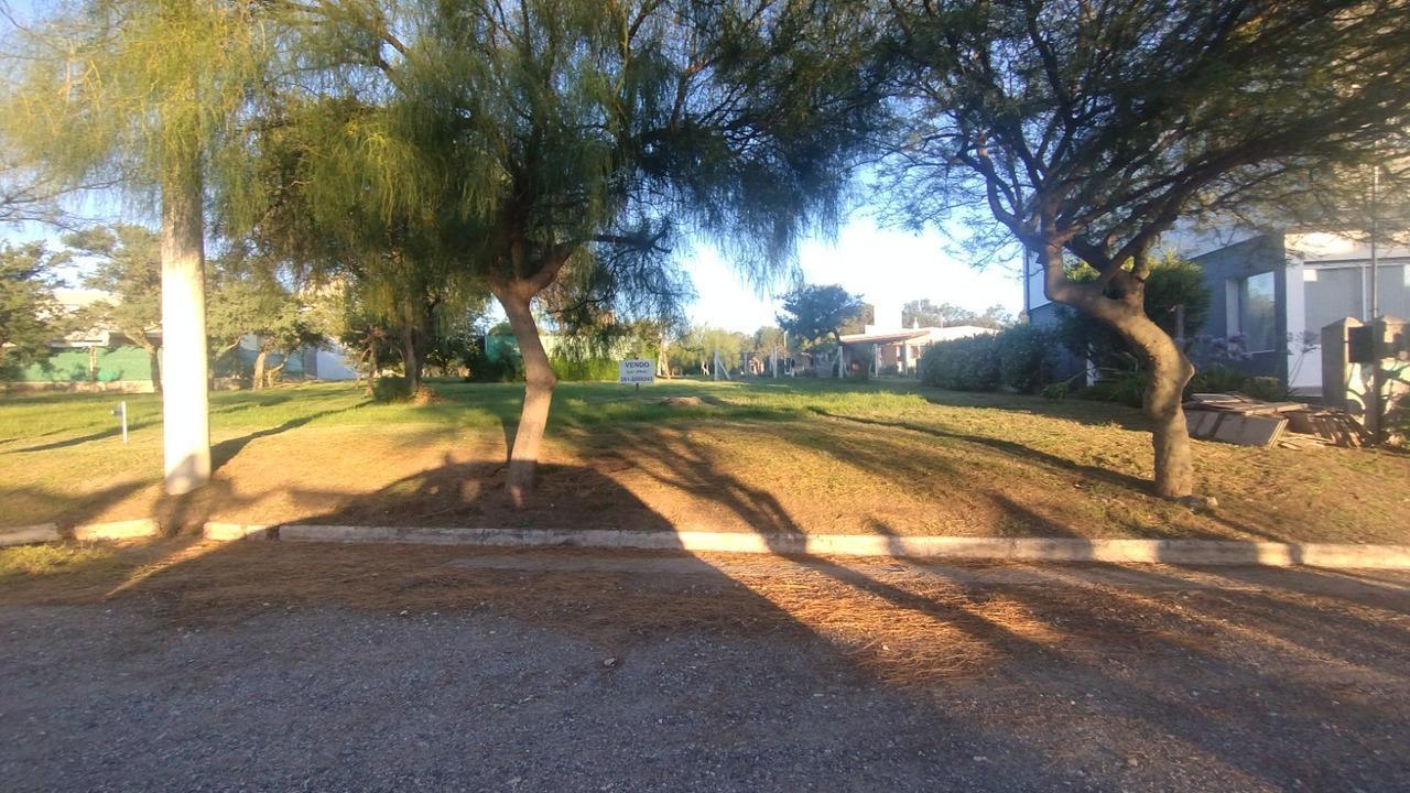 Foto de terreno 505 mts en tejas 4, imagen 2