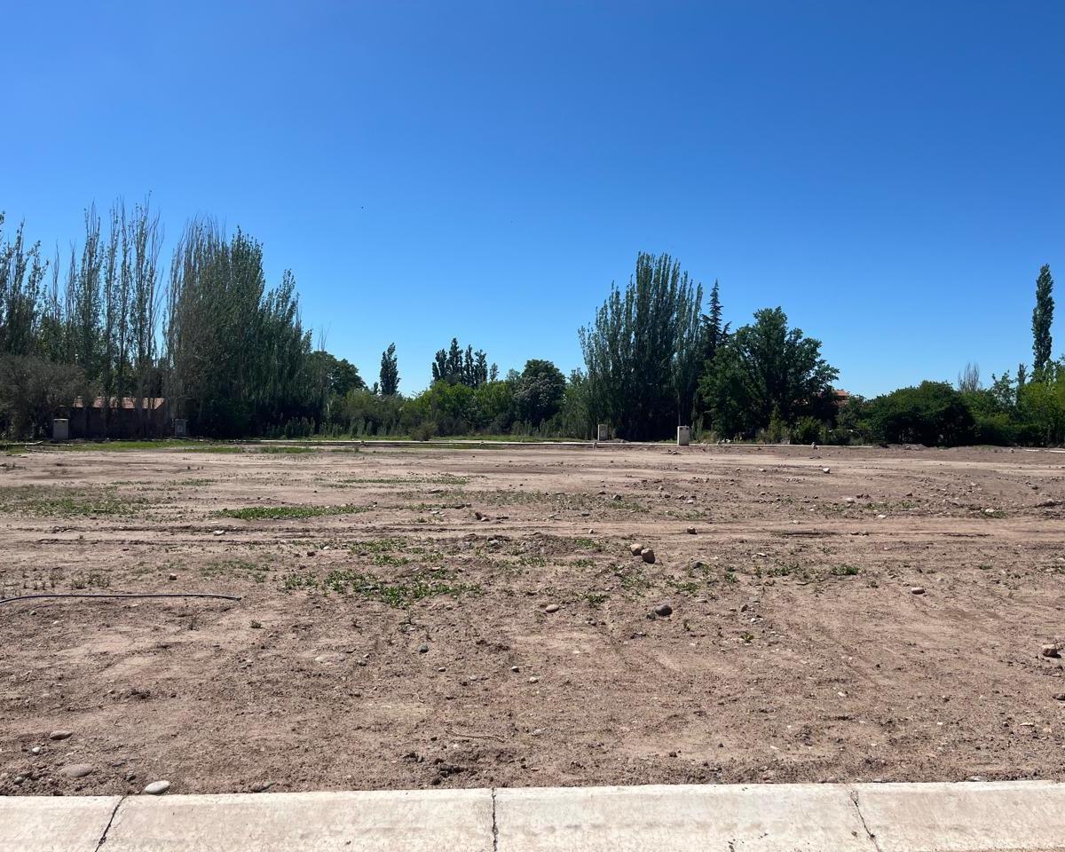 Terreno en Venta en Distrito Larrea 2