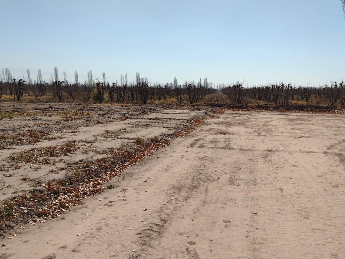 Terreno en Solares Brandsen II - Pedriel, Lujan de Cuyo 1