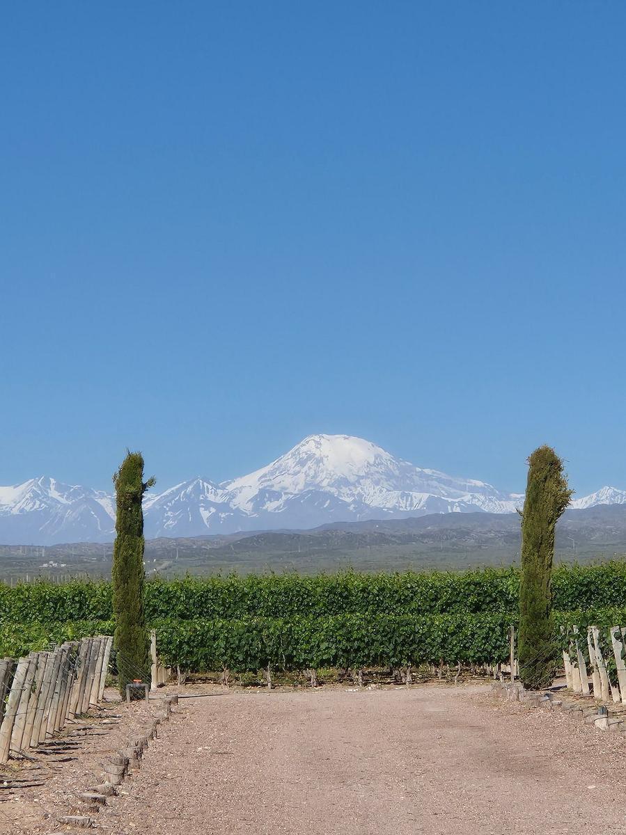 Venta Campo de 95 Ha Ruta N°86 1