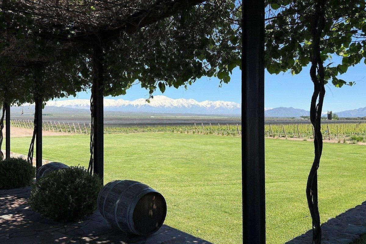 Venta Campo de 95 Ha Ruta N°86 3
