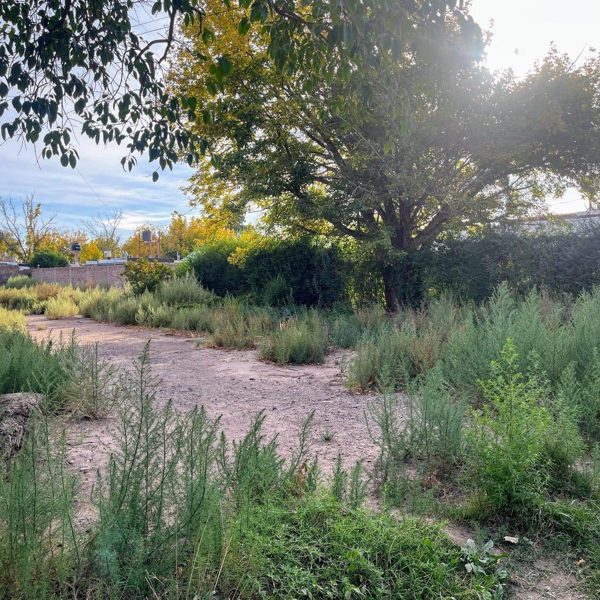 Terreno en Venta en Lujan de Cuyo (Se Escuchan Ofertas) 3