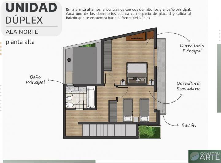 Plano 5