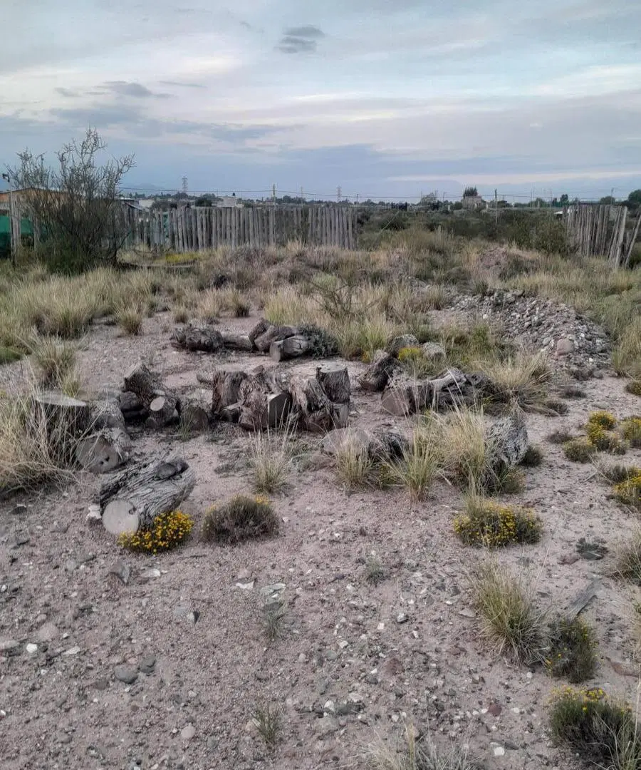Terreno en venta en Vertientes del Pedemonte-Lujan de Cuyo 3