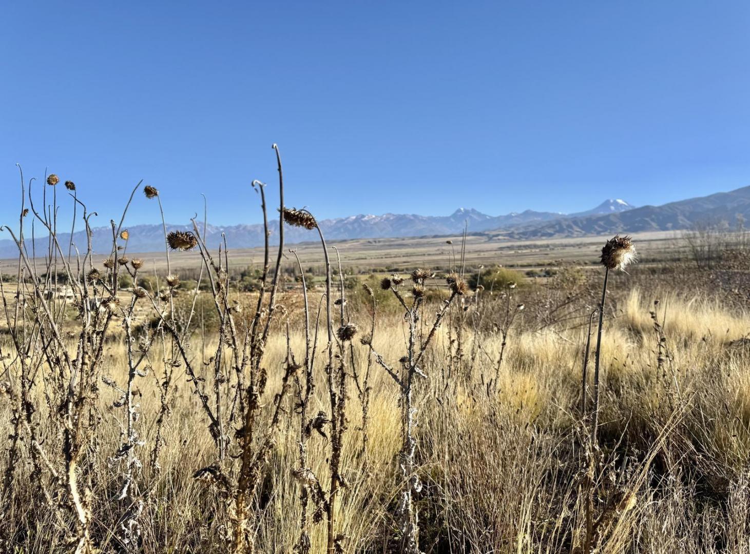Terreno en venta en Estancia Atamisque, 5.882 m² con vista permanente a la Cordillera