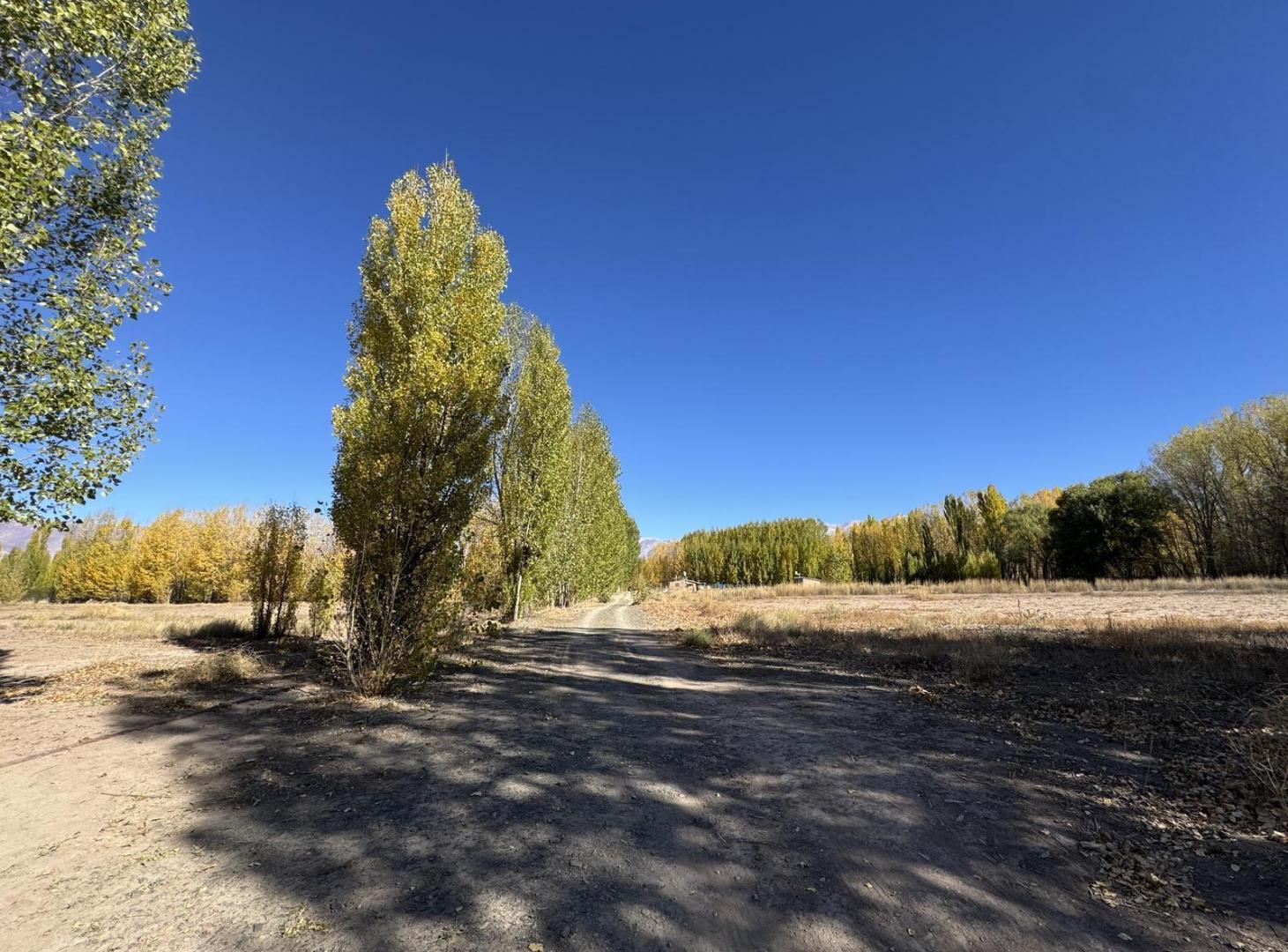 Lote en venta en Uspallata para desarrollo turístico con 47 lotes aprobados