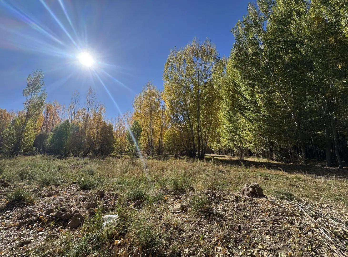 Lote en venta en Uspallata para desarrollo turístico con 47 lotes aprobados 2
