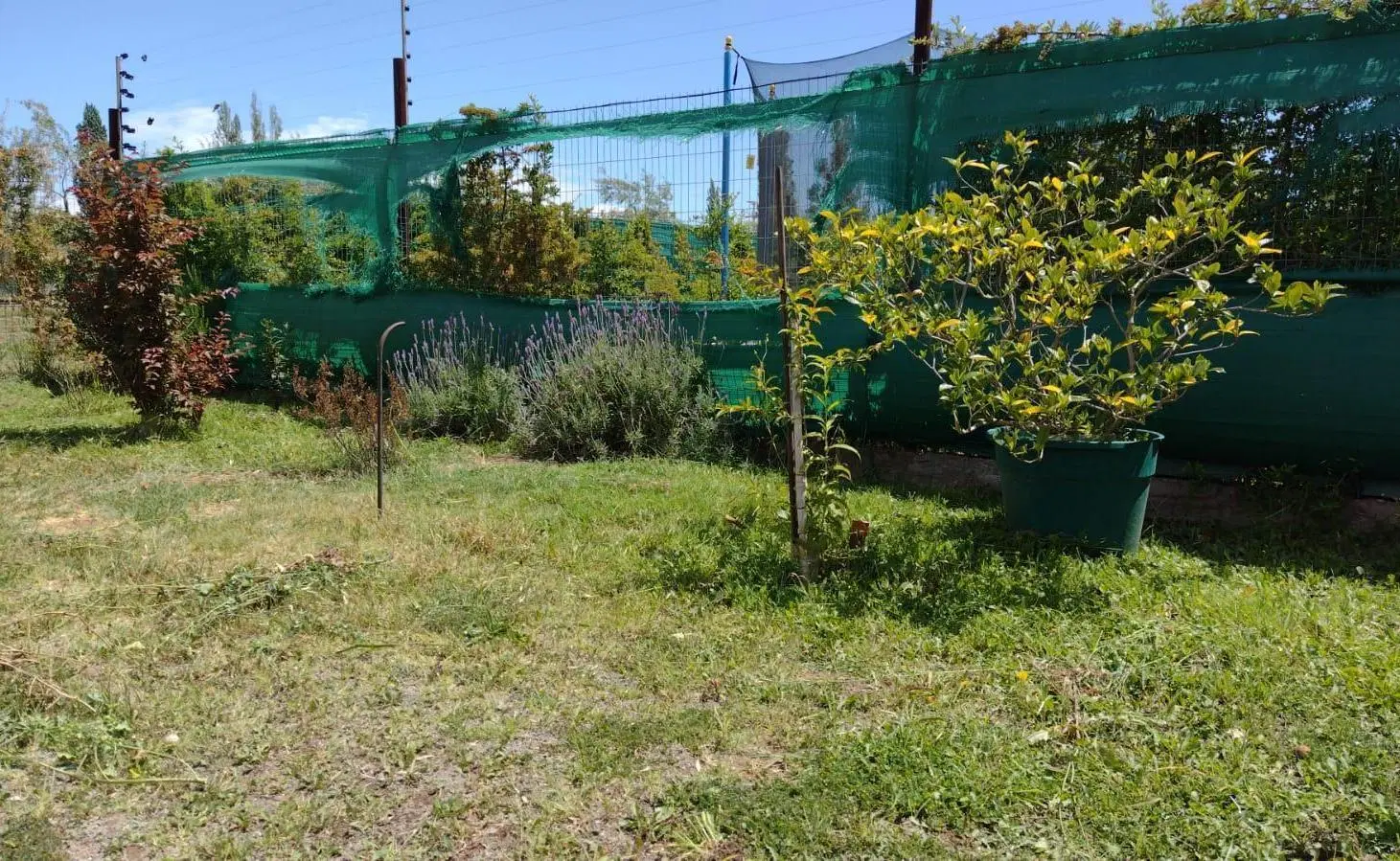 Casa en construcción en venta Olivoa de Furlotti 3