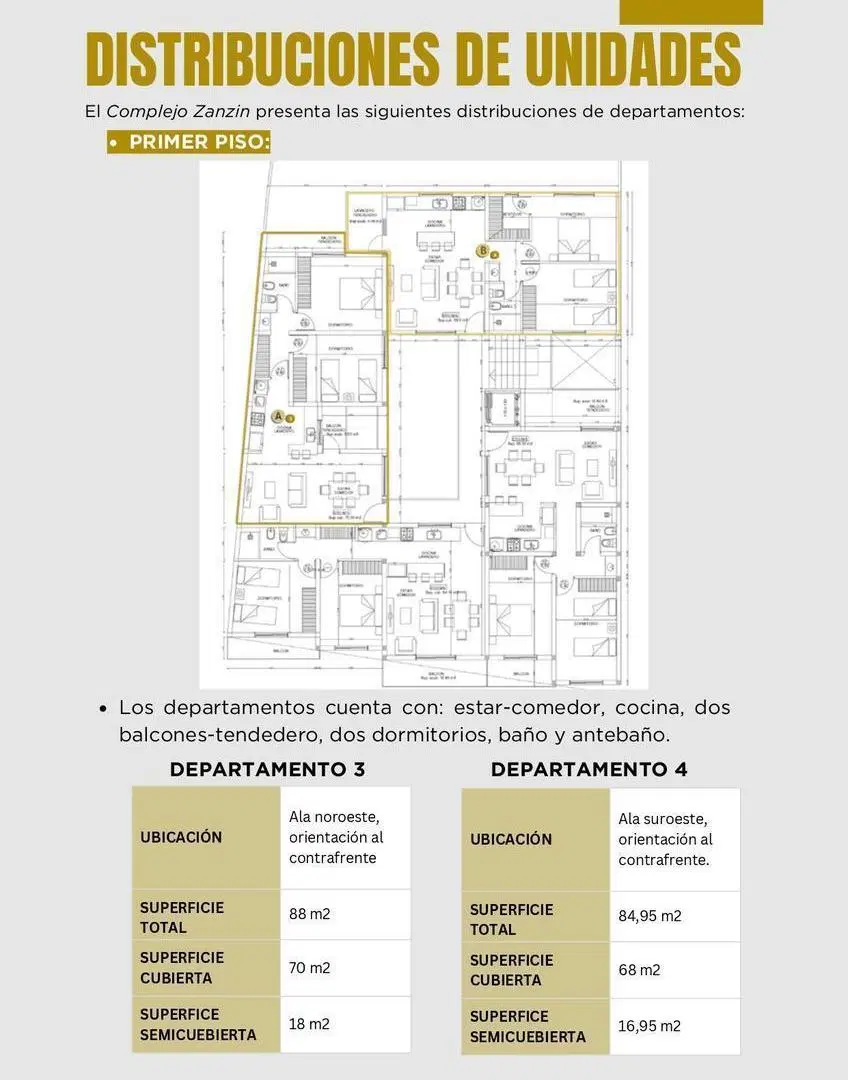Plano 8