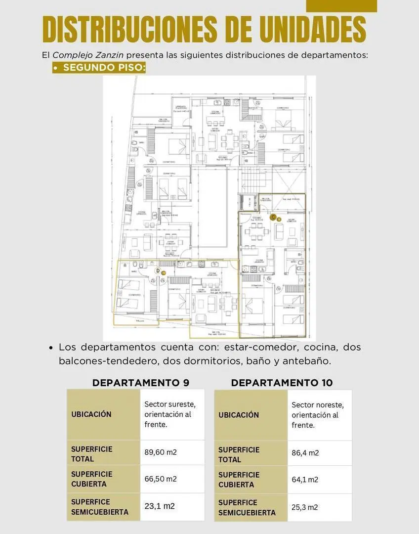 Plano 8