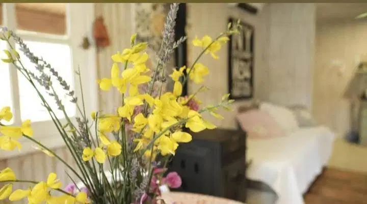 Cabañas en Potrerillos con jardín y fogón 8