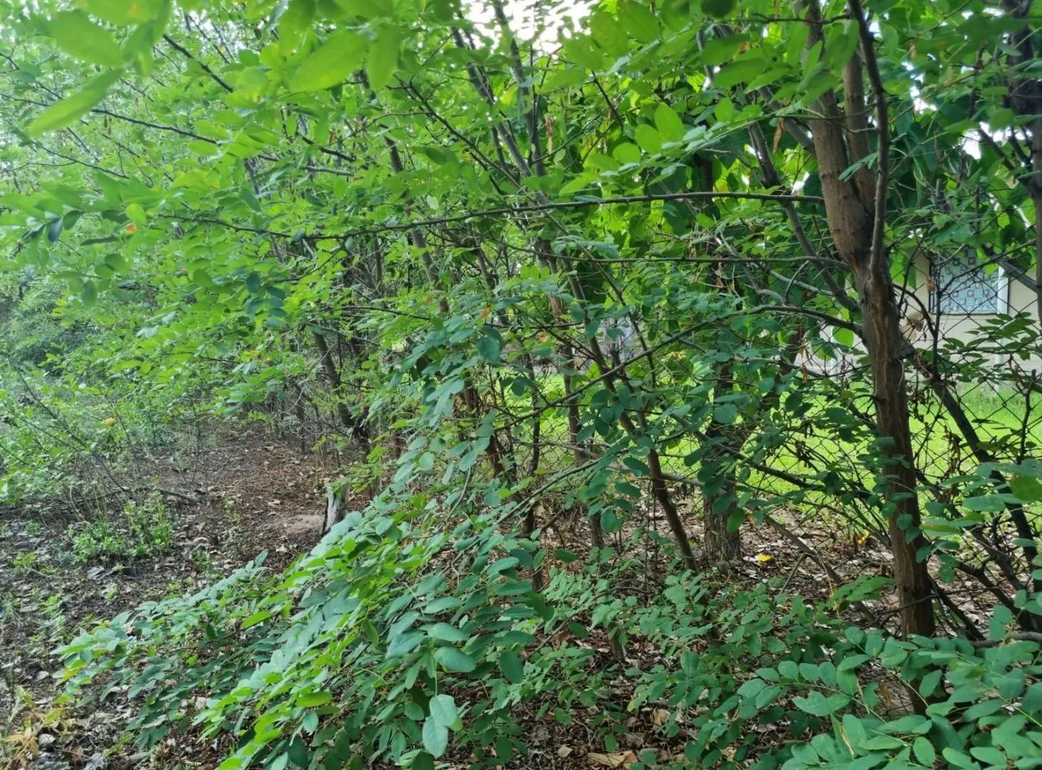Terreno en Maipú 3