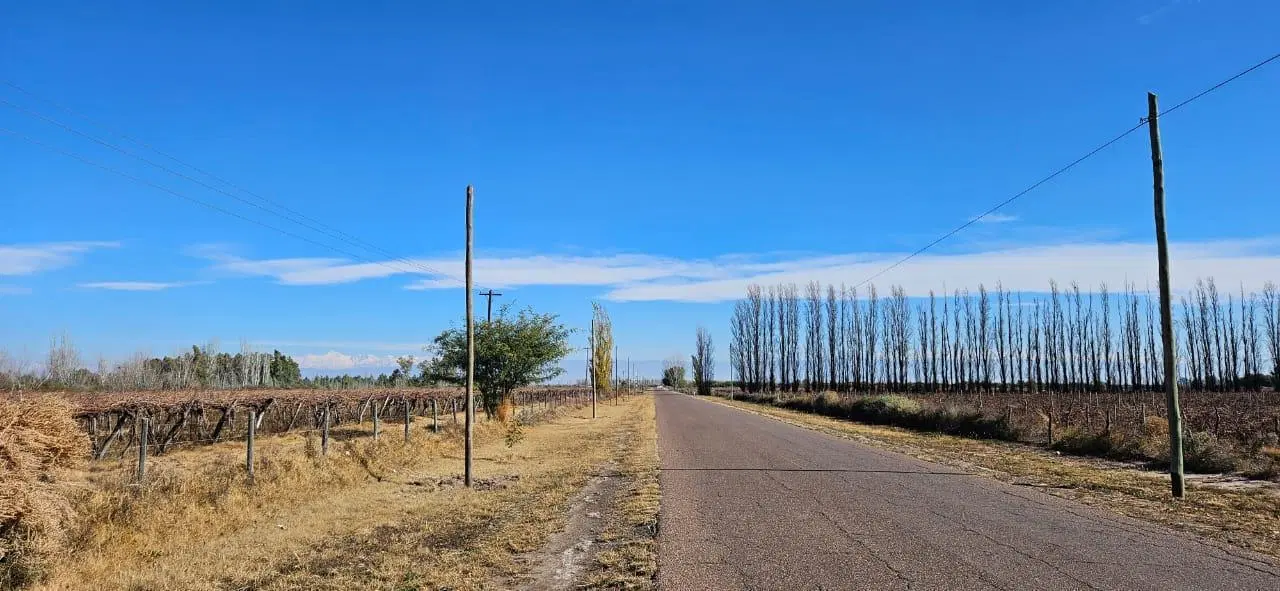 Finca en Venta - Gustavo Andre - Lavalle - Mendoza 3