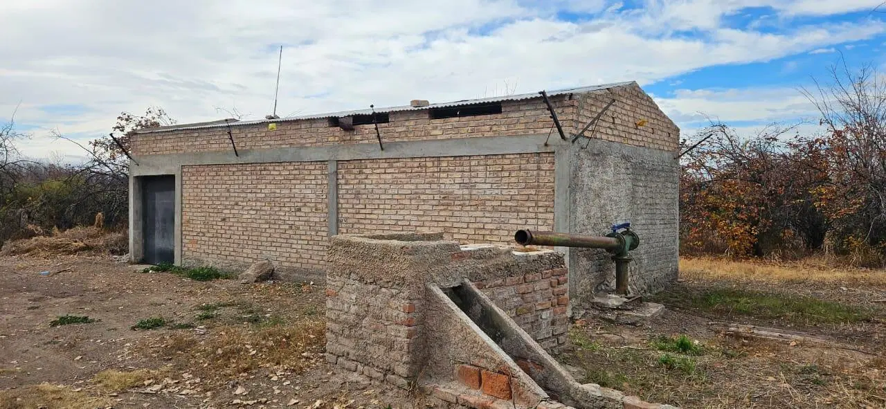 Finca en Venta - Gustavo Andre - Lavalle - Mendoza 2