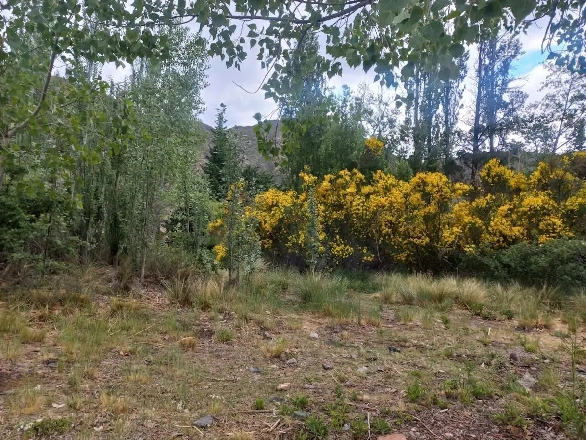 Lote en Venta - Las Carditas Potrerillos 4