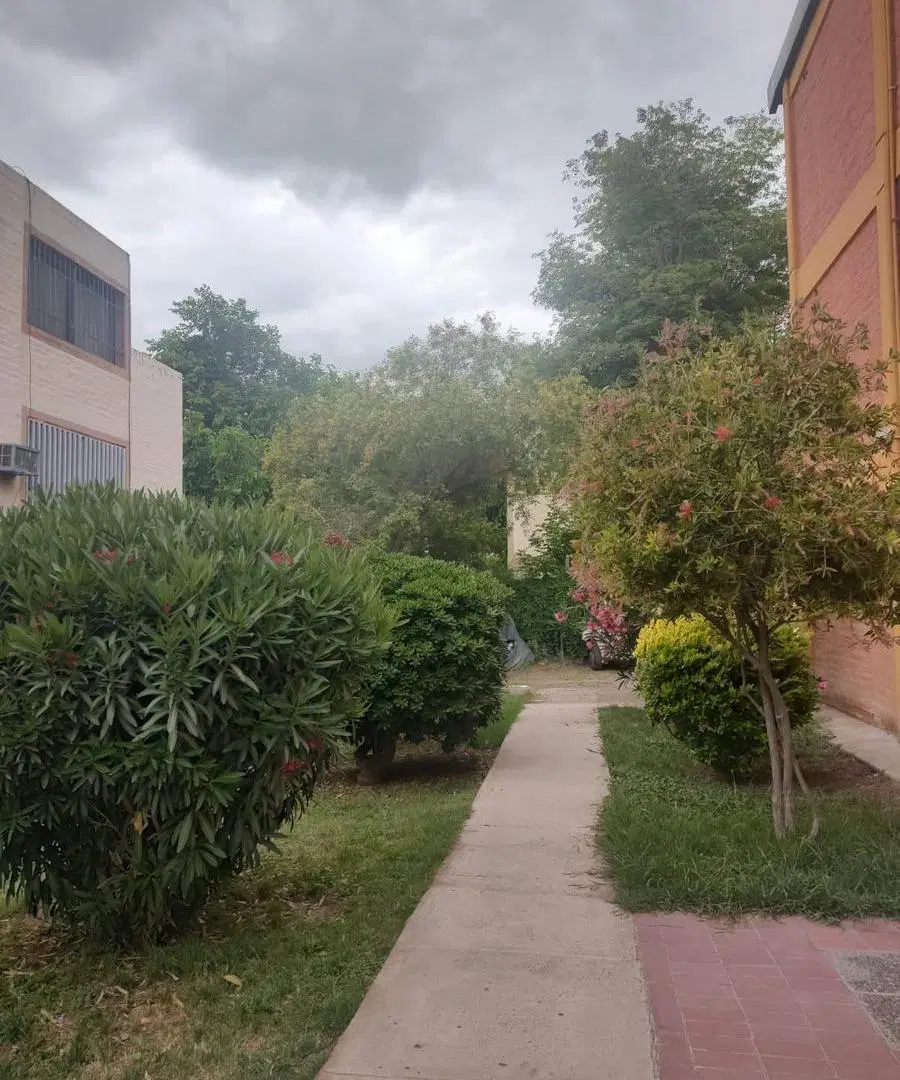 Departamento Parque Central, Ciudad, 3 dormitorios, reciclado, USD 60.000 5